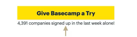 basecamp